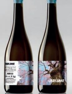 Brume Vin au Chanvre - Brume Cherry Haze - Blanc