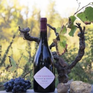 Famille Durand - L'Ancestral