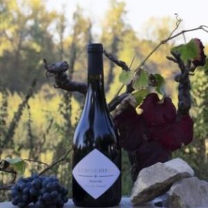 Famille Durand - La Huaudière 2007