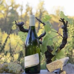 Famille Durand - Les Scilles du Pin (Sec Tendre)